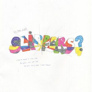So You Like Slippers